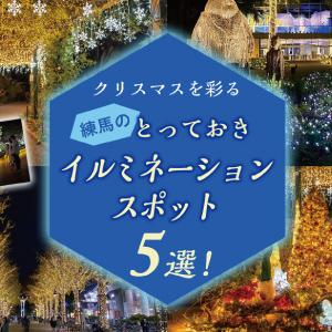 【12月特集記事】クリスマスを彩る練馬のとっておきイルミネーションスポット５選！