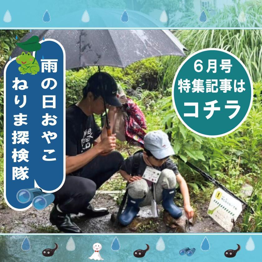 特集記事６月号