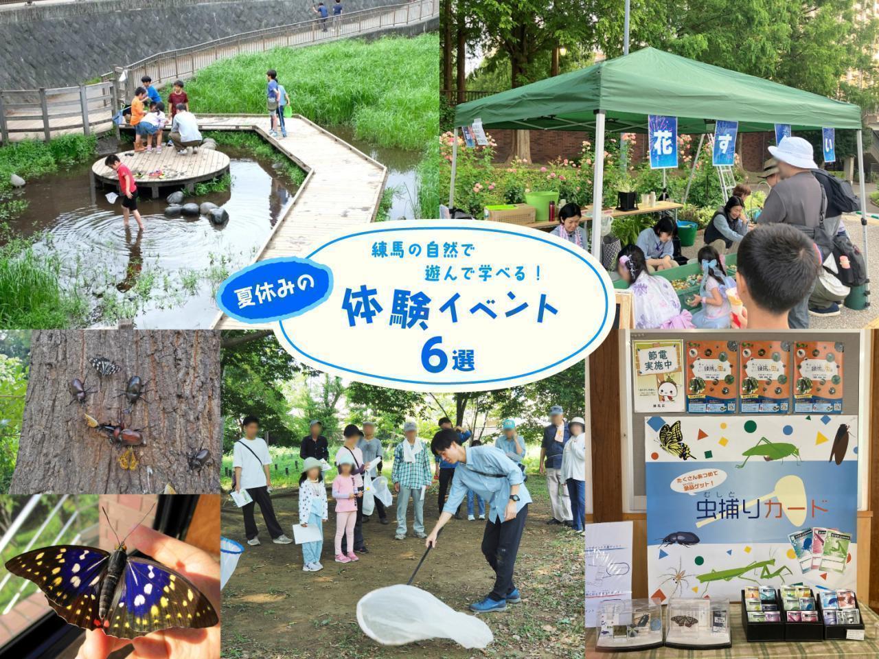 練馬の自然で遊んで学べる！ 夏休みの体験イベント6選 1