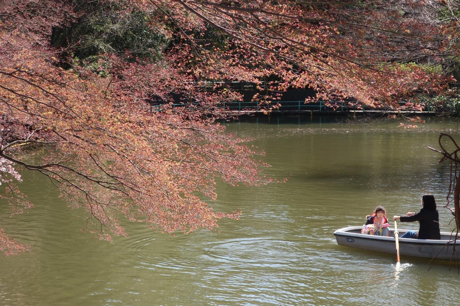 武蔵関公園　３月下旬 2