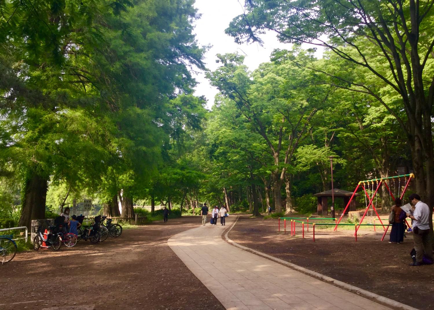 ある日の石神井公園 3