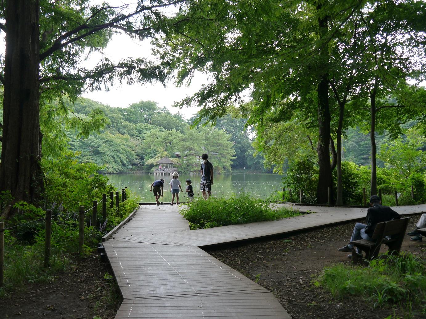 石神井公園　8月下旬