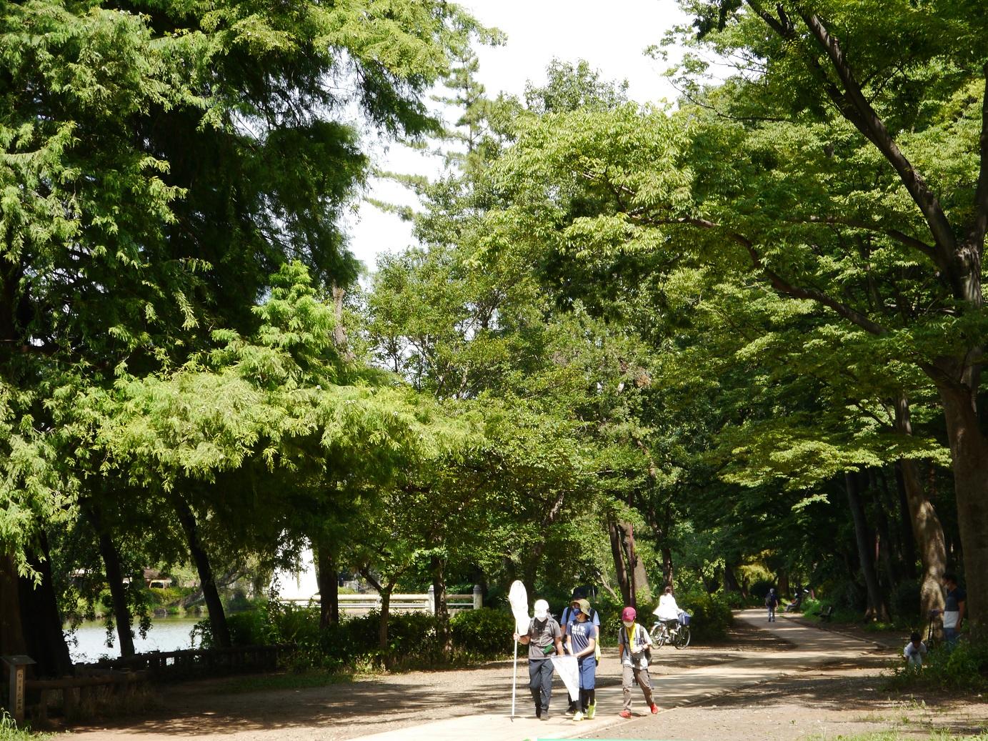 石神井公園　8月下旬 2