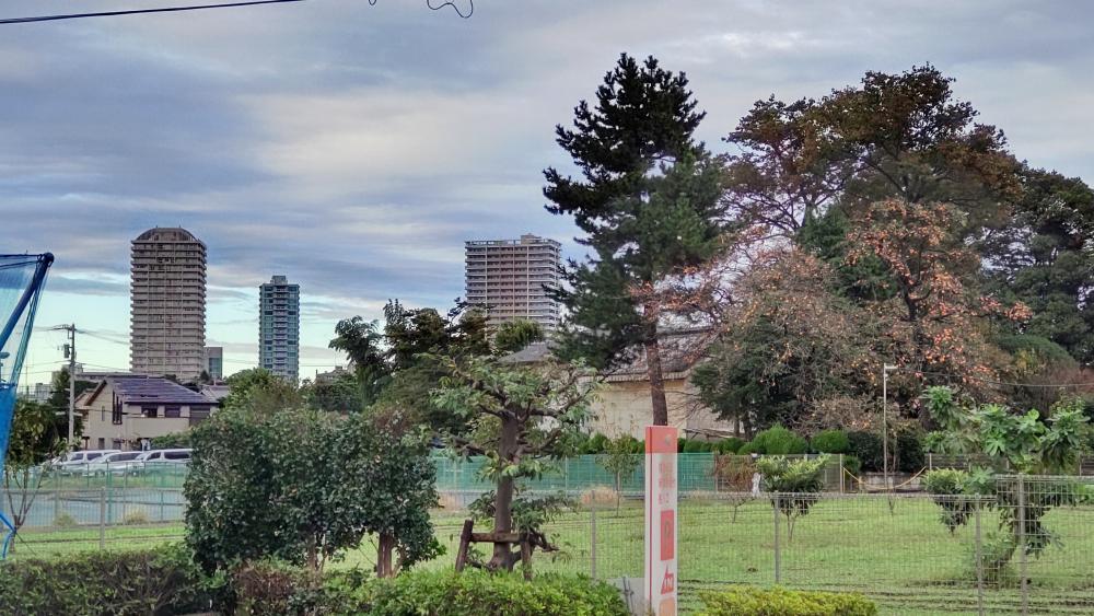 大泉学園駅方面～石神井台／東大泉の農地から～