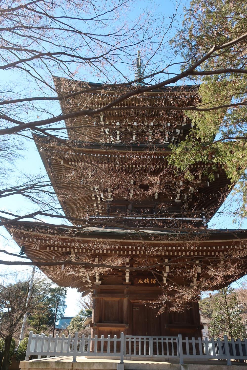 道場寺（石神井台）