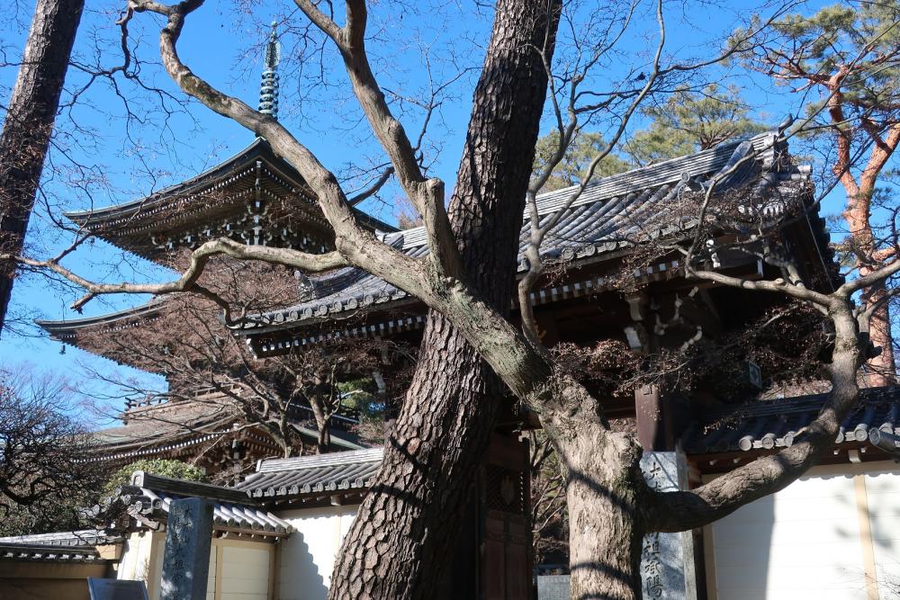 道場寺（石神井台） 2