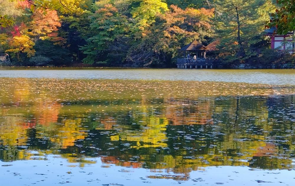 紅葉の始まり