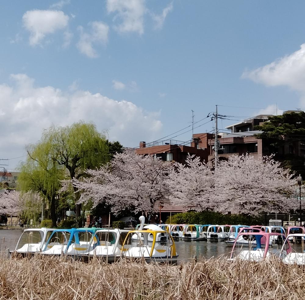 ひとときのやすらぎ 2
