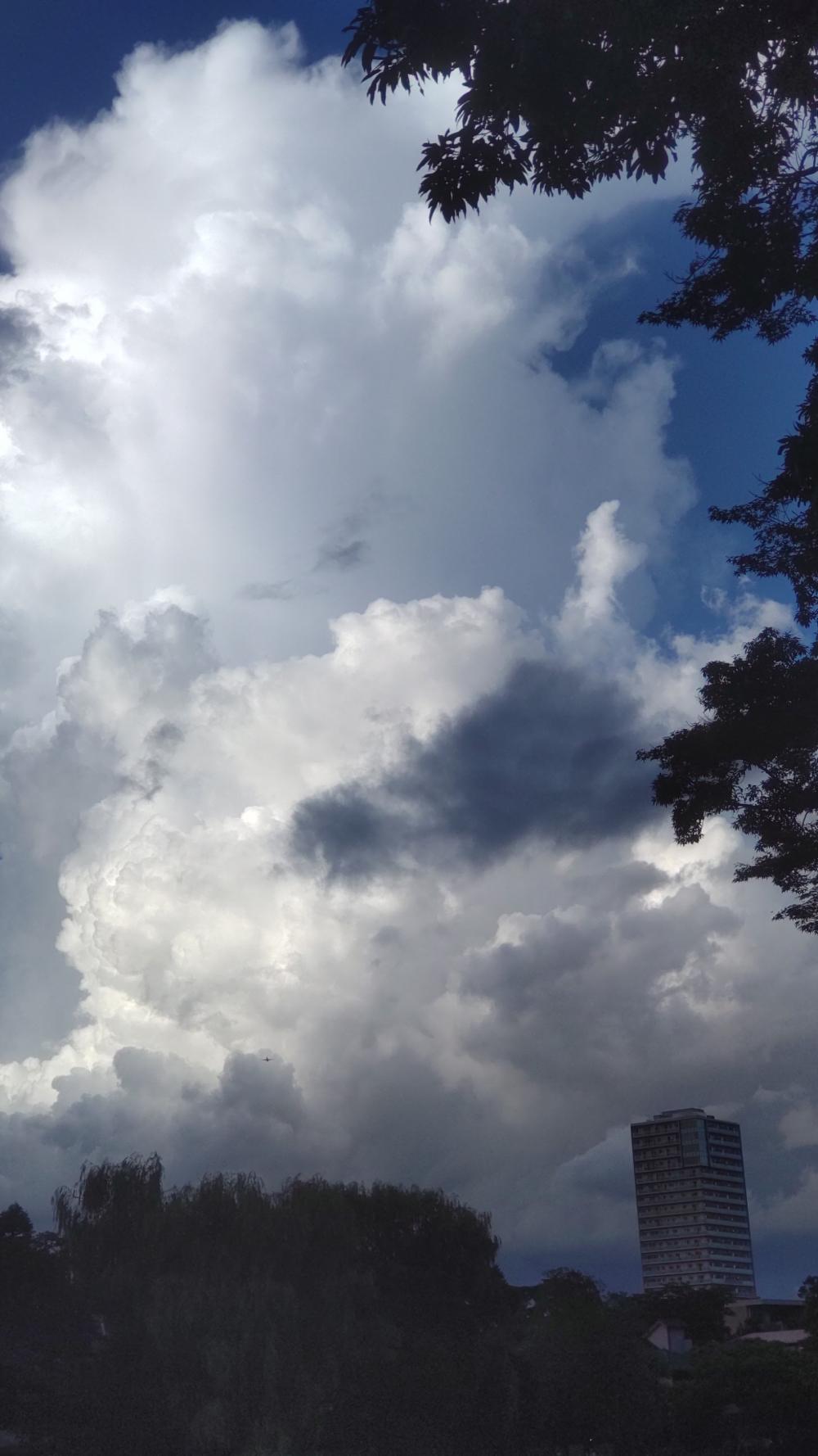 石神井池と雄大積雲 2