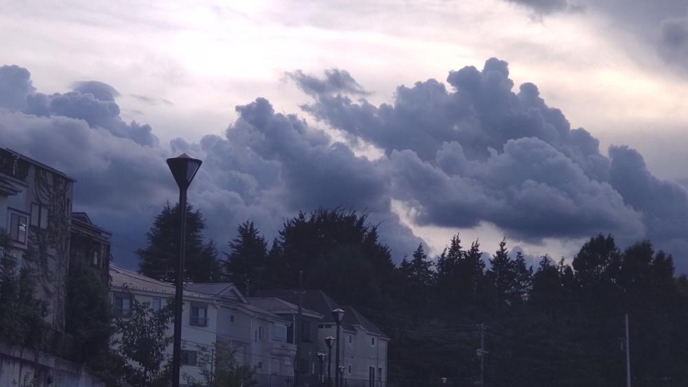 東京カトリック神学院の樹木越しの積雲