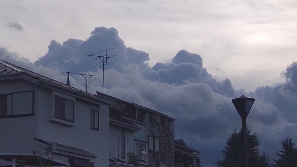 東京カトリック神学院の樹木越しの積雲 2