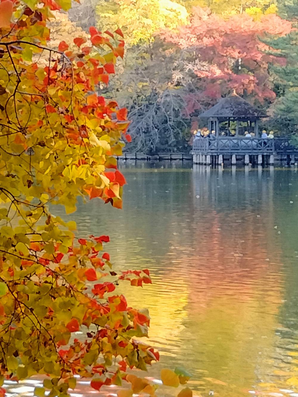 お気に入りの1枚