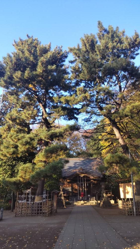 石神井氷川神社