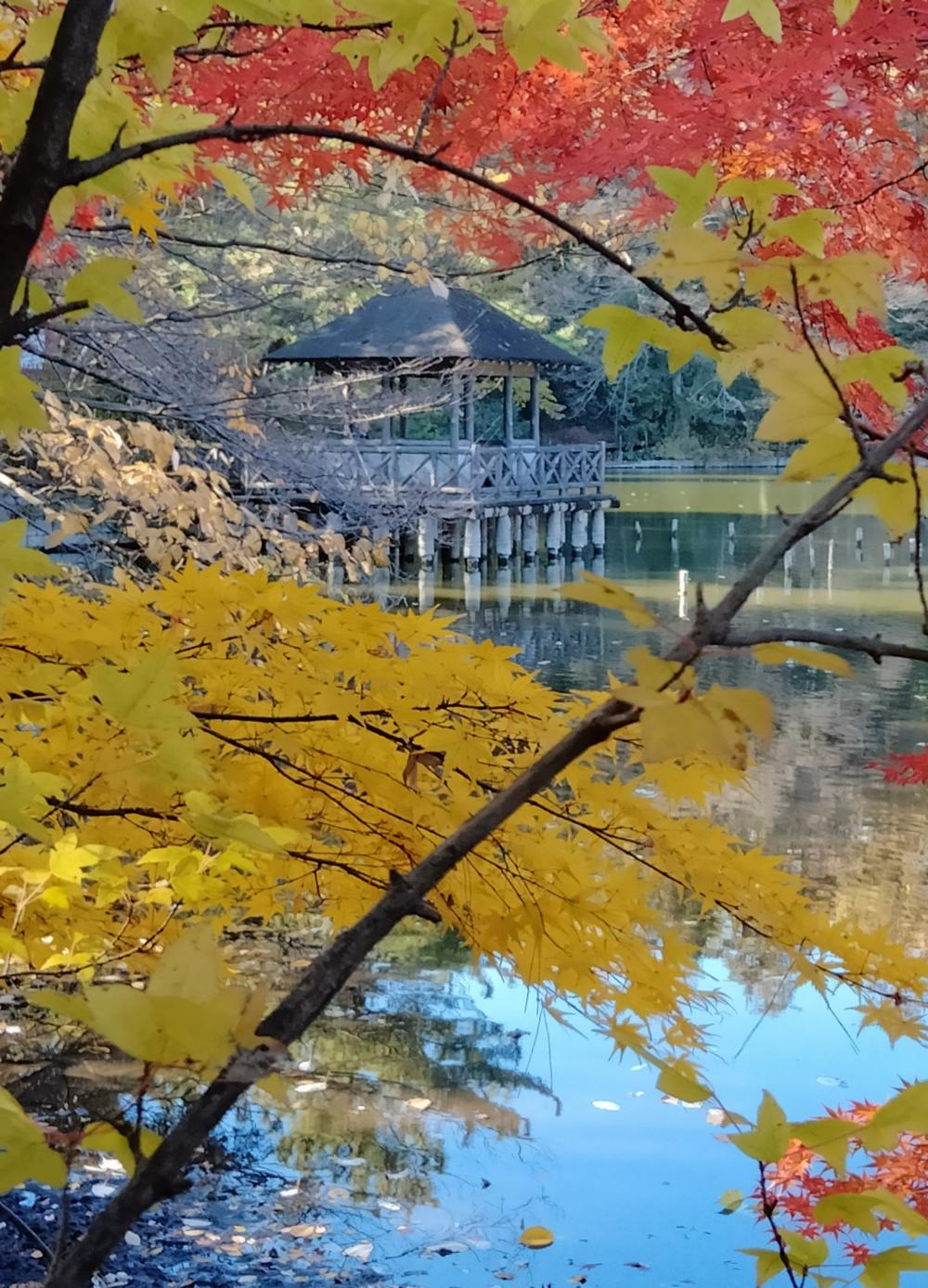 お気に入りの絶景スポット 3