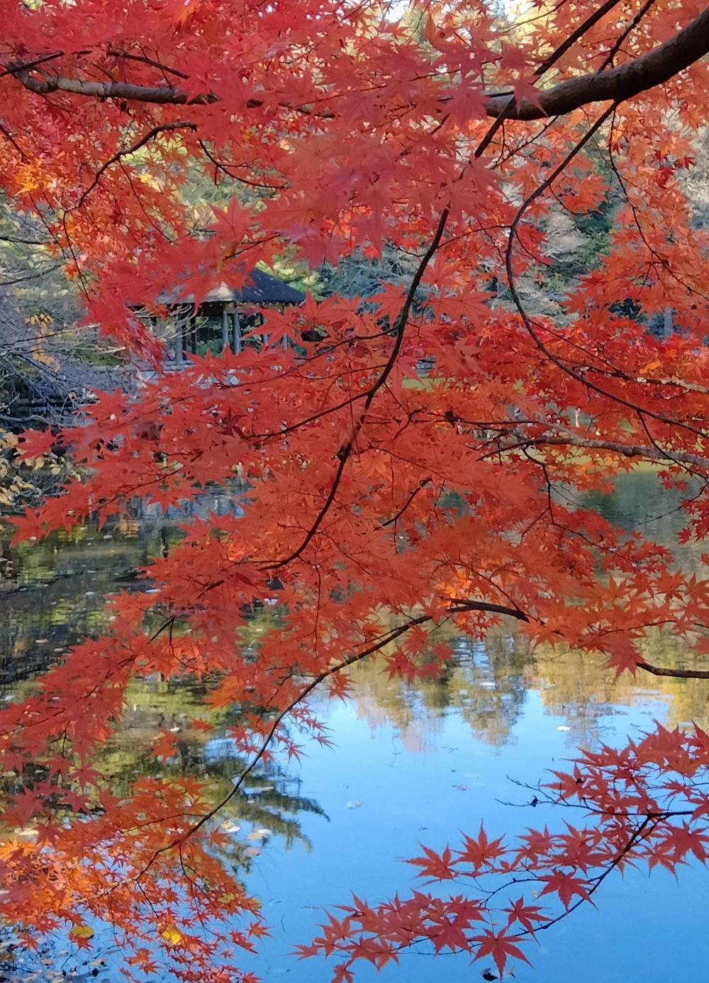 お気に入りの絶景スポット 4