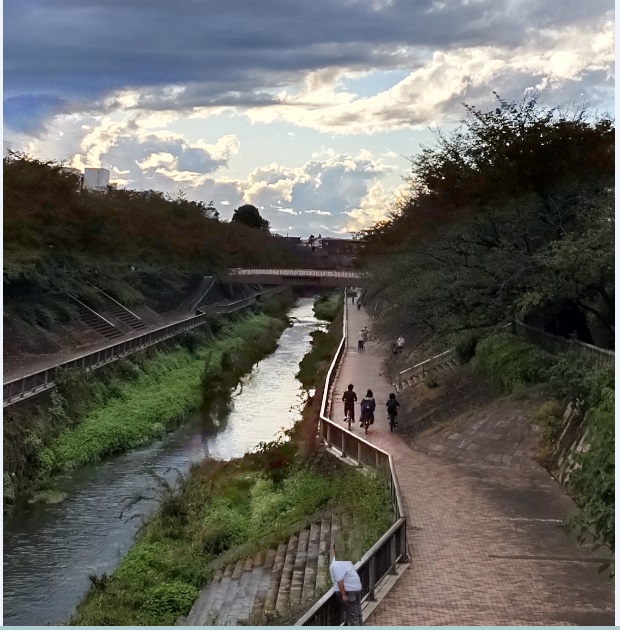 石神井川沿い（南田中団地前、石神井公園団地前） 2