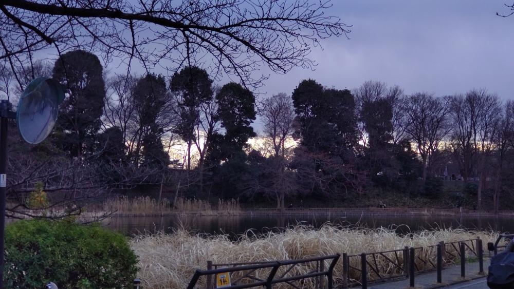 冬の石神井公園（夕暮れ） 2