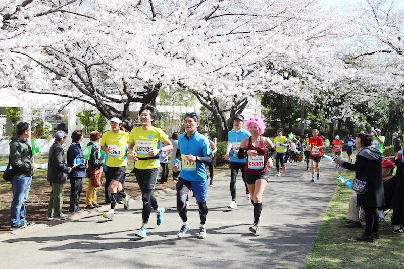 「練馬こぶしハーフマラソン2020」 　おすすめの観戦ポイント＆会場での楽しみ方、教えます！　