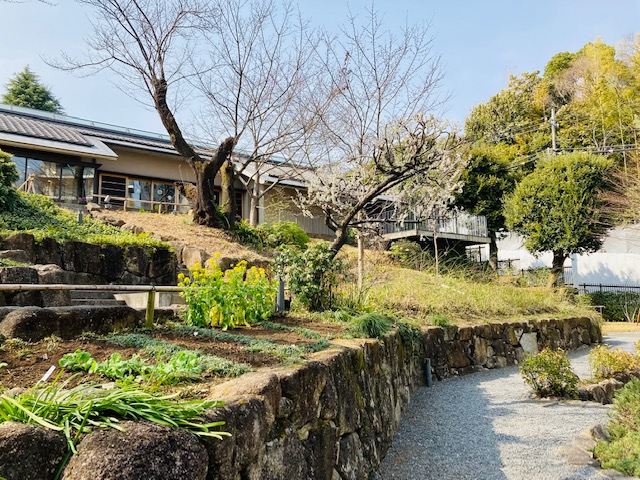 小説家がめぐる「春を味わう豊島園」