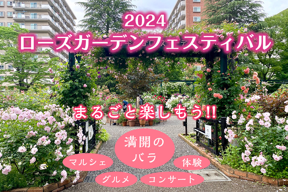 光が丘の「2024ローズガーデンフェスティバル」はバラだけじゃない⁉︎グルメやマルシェ、コンサートも楽しめるイベントなんです！