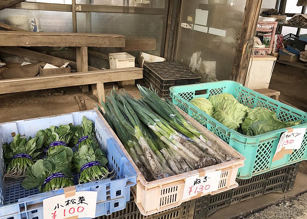 採りたて野菜が身近で手に入る