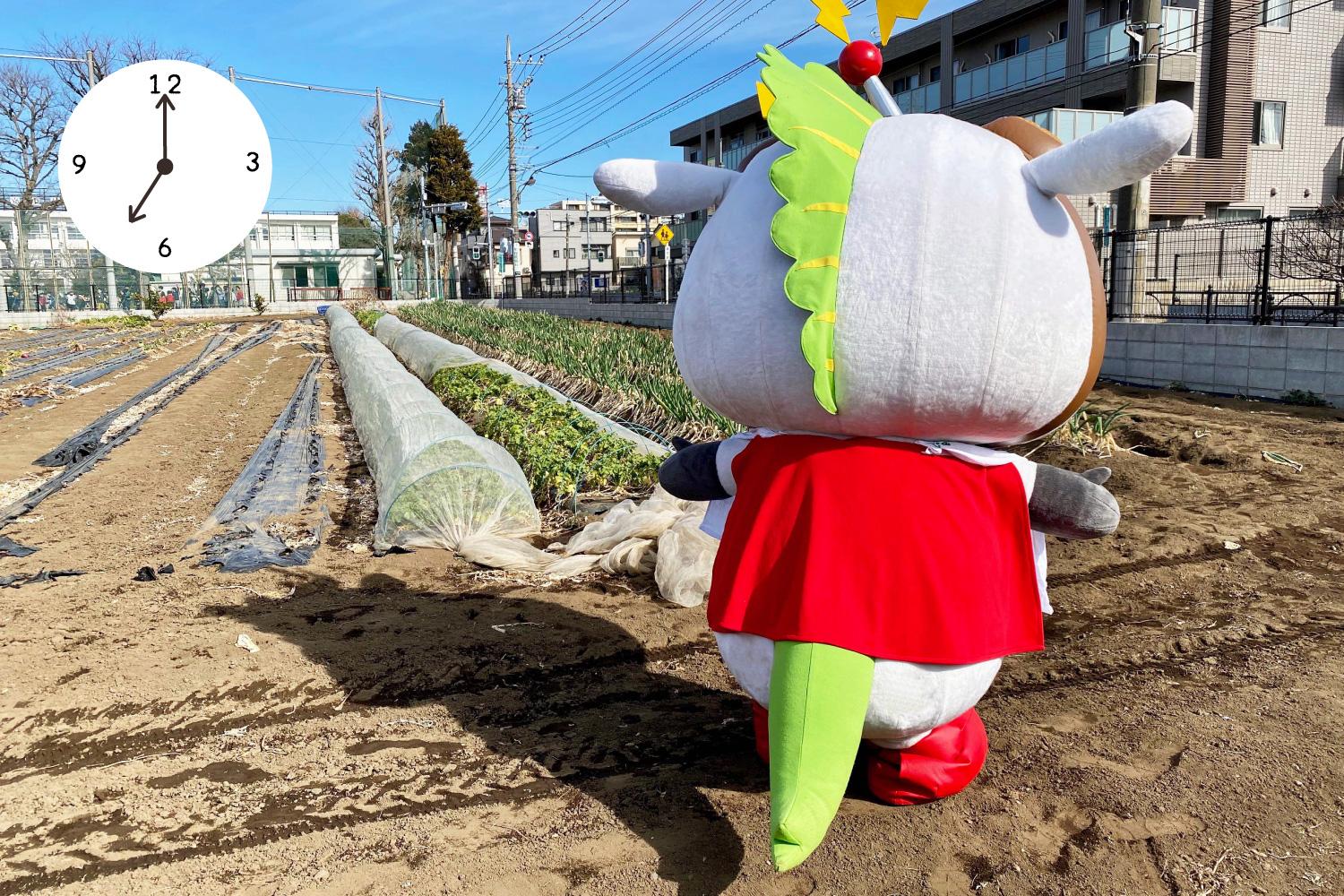 AM8:30「農園でお手伝い」