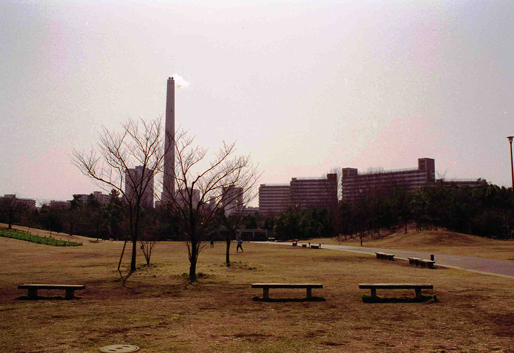 〔昭和56年〕光が丘公園がついに開園！