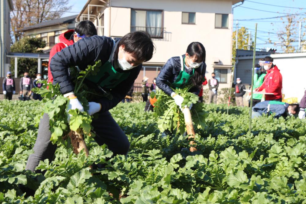 【12月開催】大根引っこ抜き競技大会　〜日本で唯一の競技種目です！〜