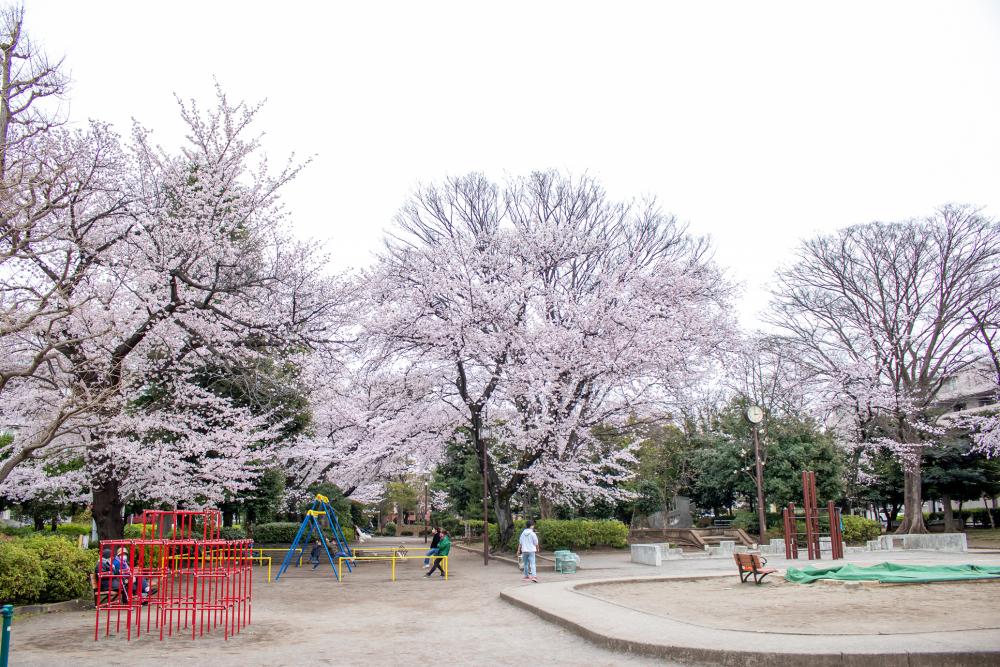 自然を身近に感じる、遊具が充実した徳殿公園（まっぷ：Eコース）