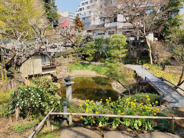 自由に、優雅に、空に伸びゆく植物たち。