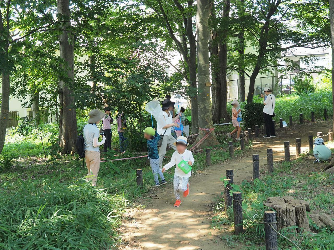 １.	森の中で虫を探してセミの羽化を観察しよう！