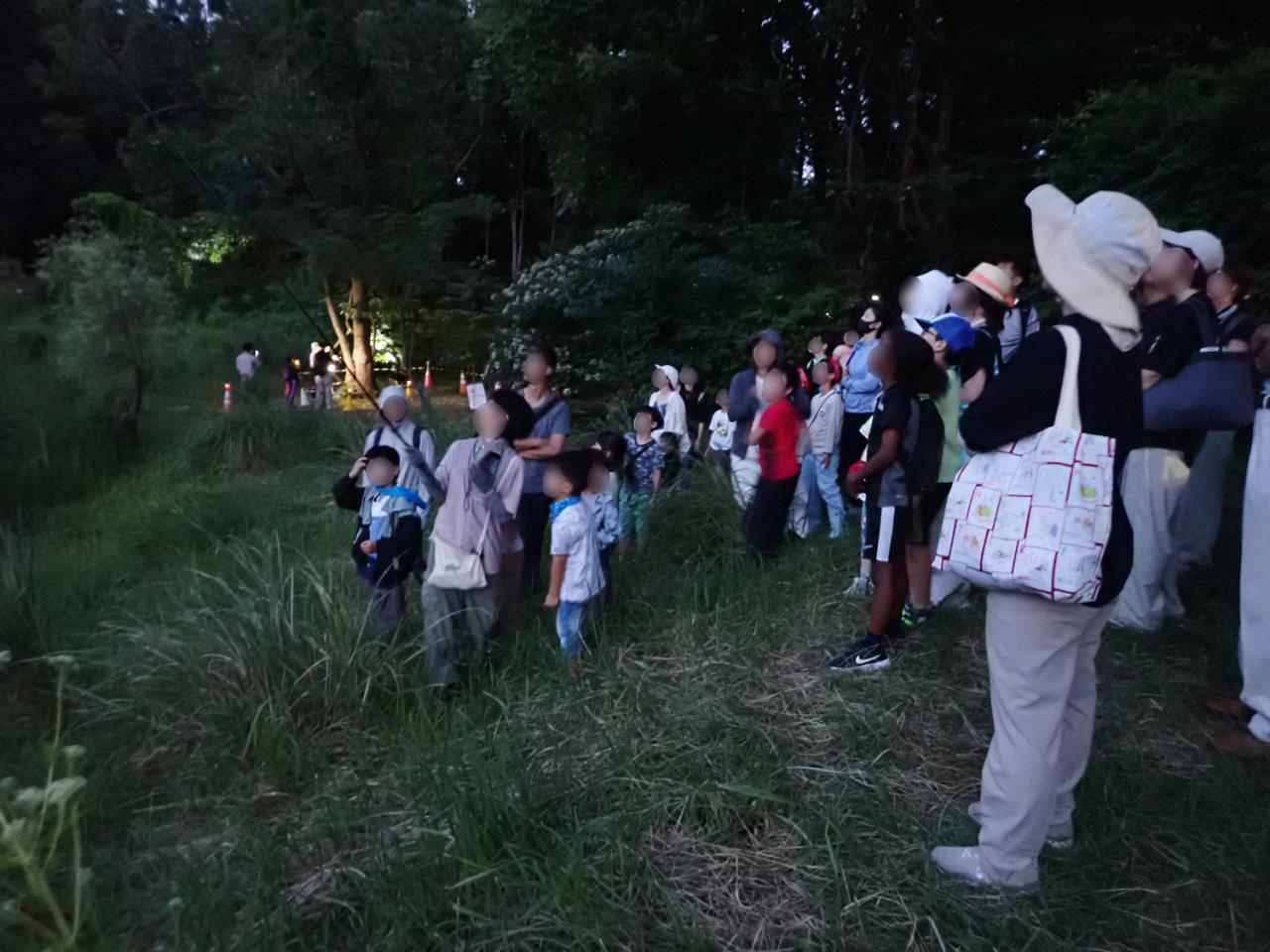 ５.	神秘的な夜のバードサンクチュアリで生きもの観察