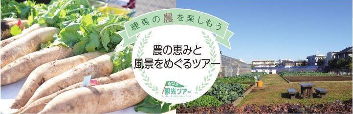 2024年度　第6回【ねりま観光ツアー】よみがえった江戸東京野菜　練馬大根収穫ツアー参加者募集