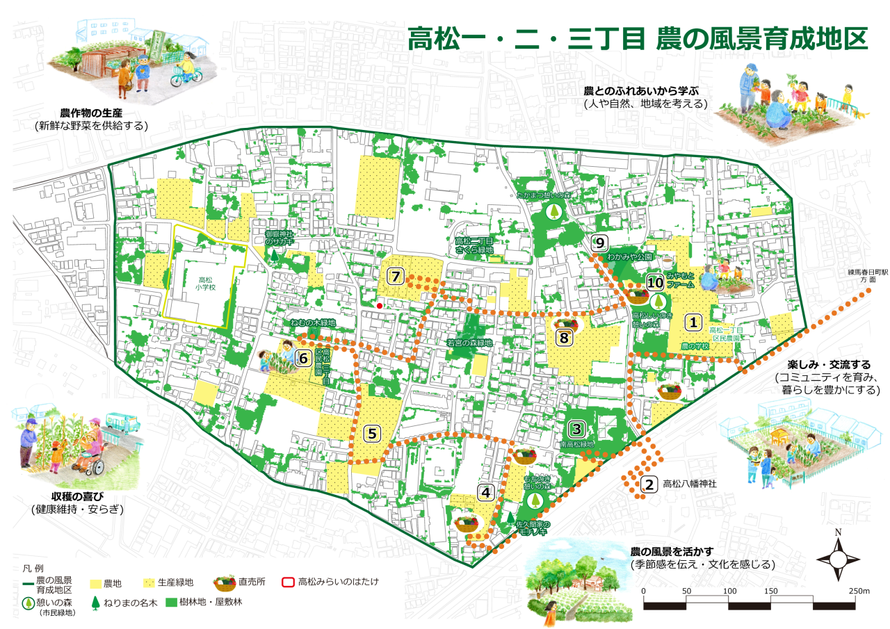 10月11日　9時～受付予定　2025年度　第10回【ねりま観光ツアー】農の恵みと風景をめぐるツアー「よみがえった江戸東京野菜　練馬大根収穫体験」参加者募集