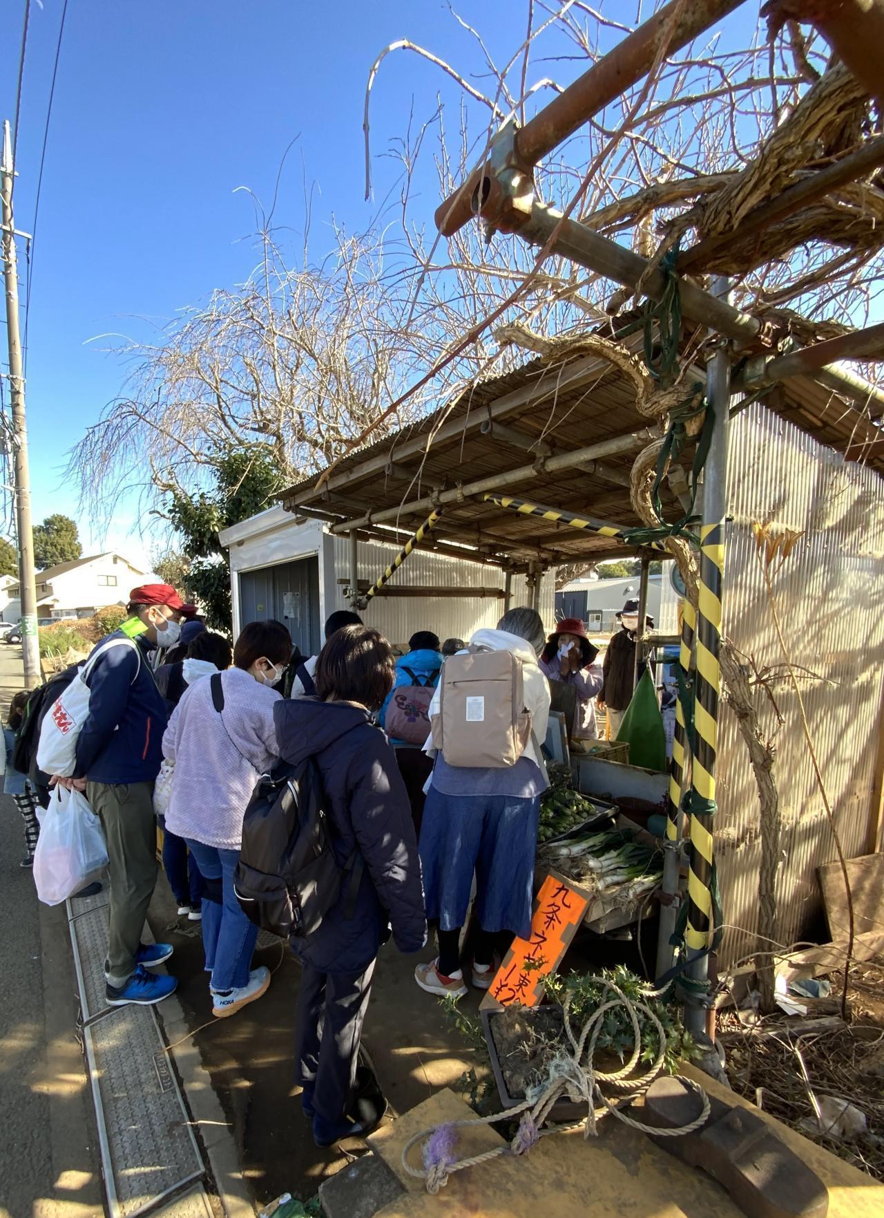 【受付終了】2025年度　第12回【ねりま観光ツアー】「イチゴ狩り＆とれたてイチゴパフェ作り体験ツアー参加者募集」 3