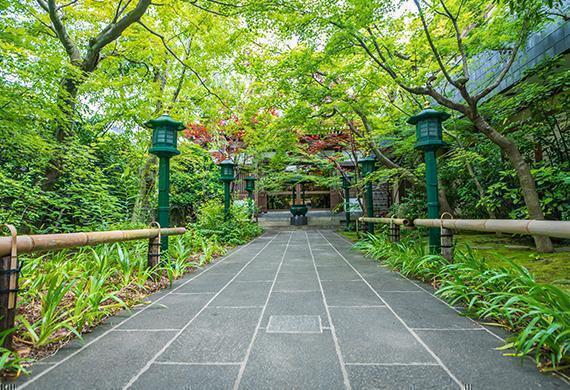 2026年度　第5回【ねりま観光ツアー】田島山十一ヶ寺と練馬城址公園のあじさい鑑賞ツアー