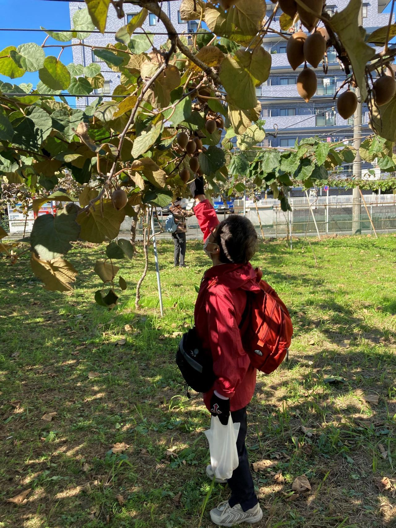 おざわ農園
