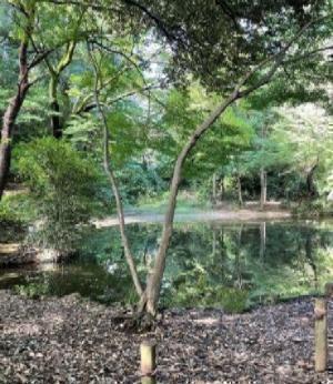 【ポイントその２】　文学者たちの記憶ののこる街