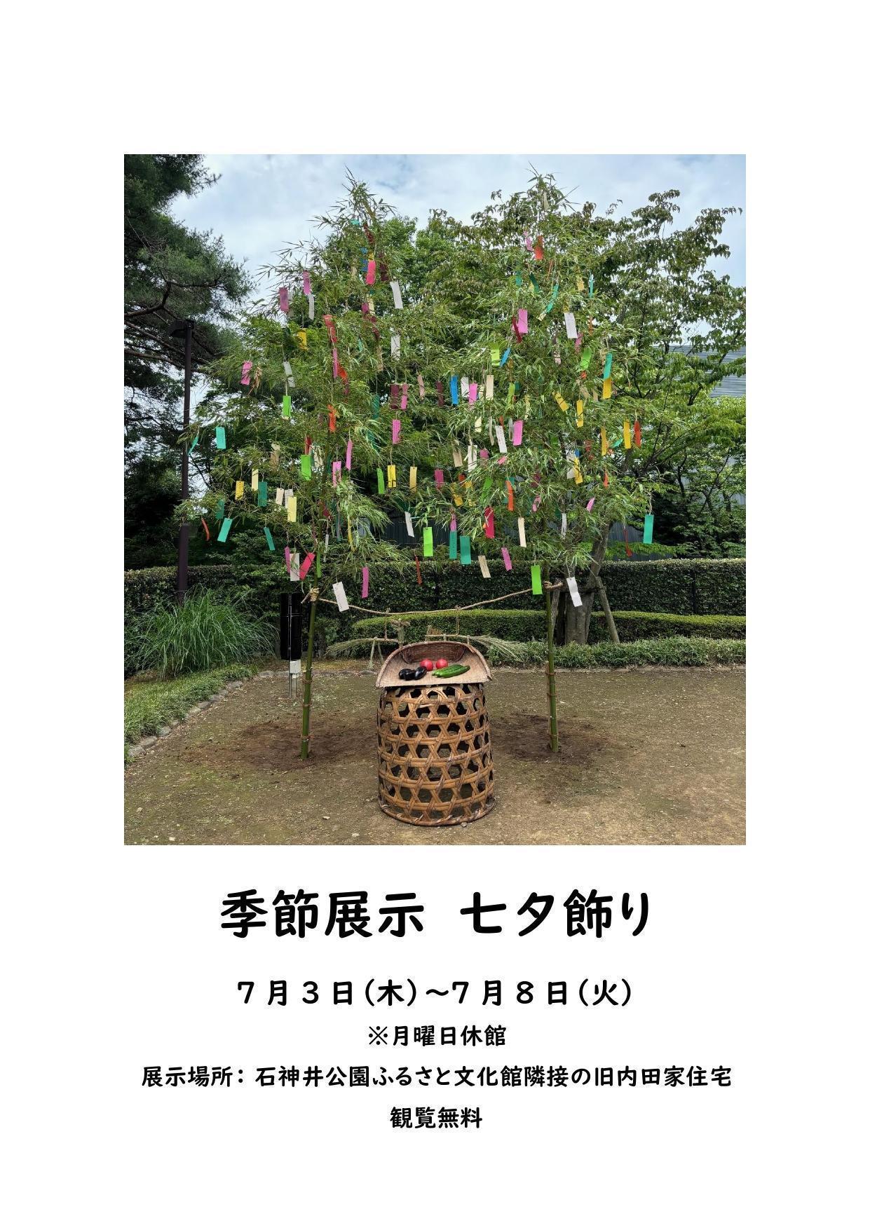 季節展示 七夕飾り