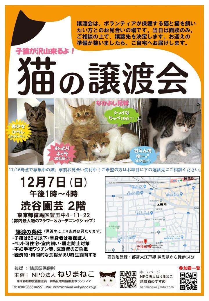 猫の譲渡会　練馬区・渋谷園芸