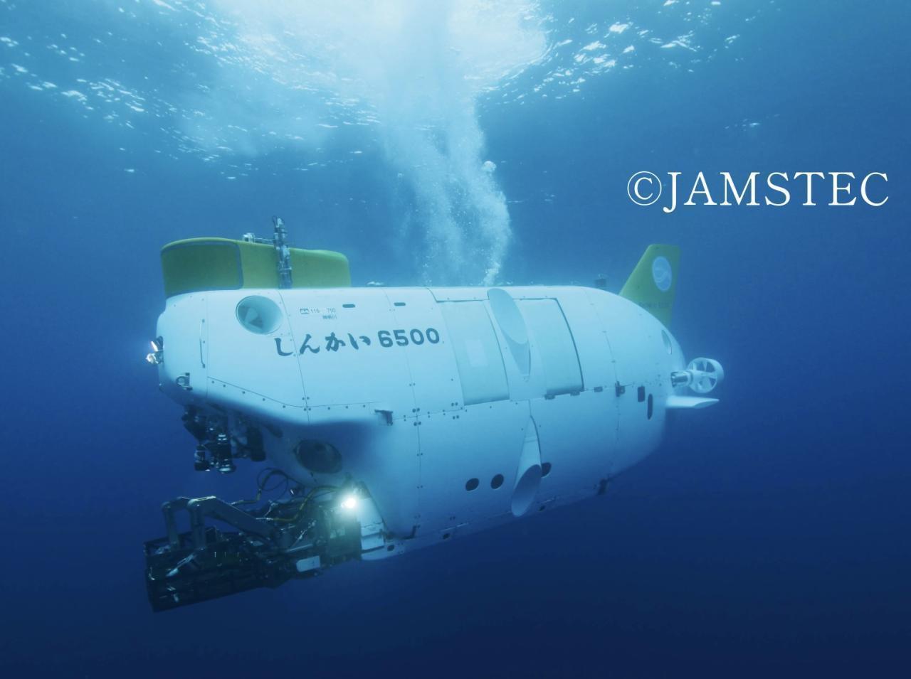  鯨骨・ヨコヅナ・深海洞窟～深海生物研究の最前線