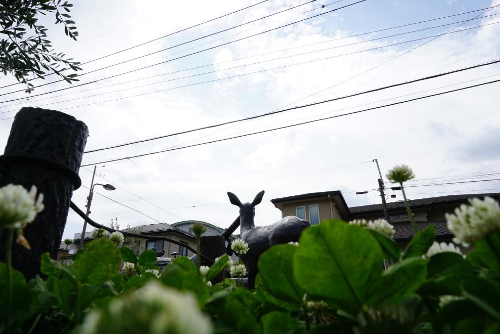 区立豊玉中いっちょうめ公園