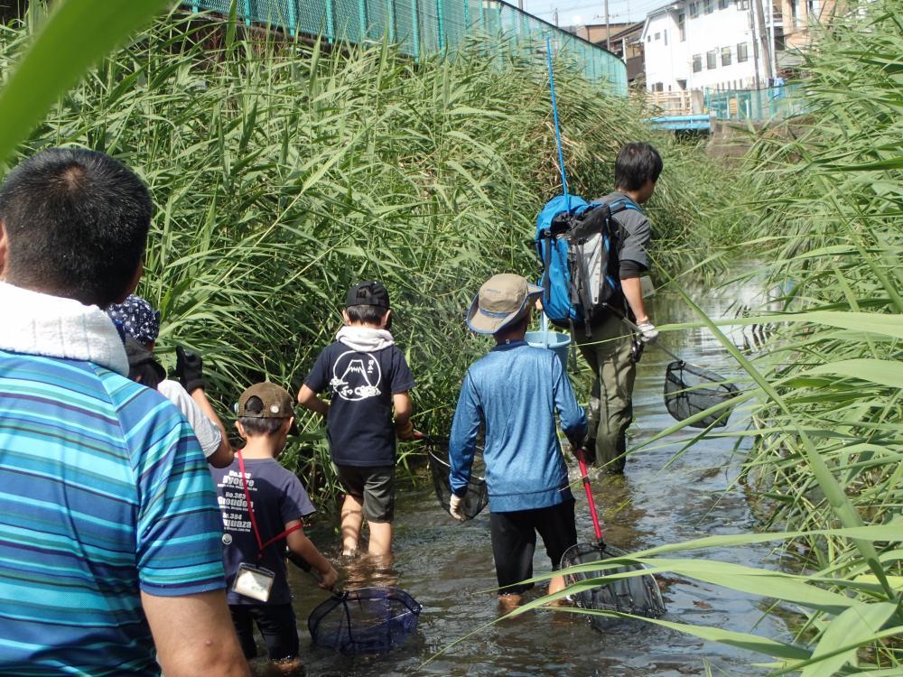 練馬区立中里郷土の森緑地