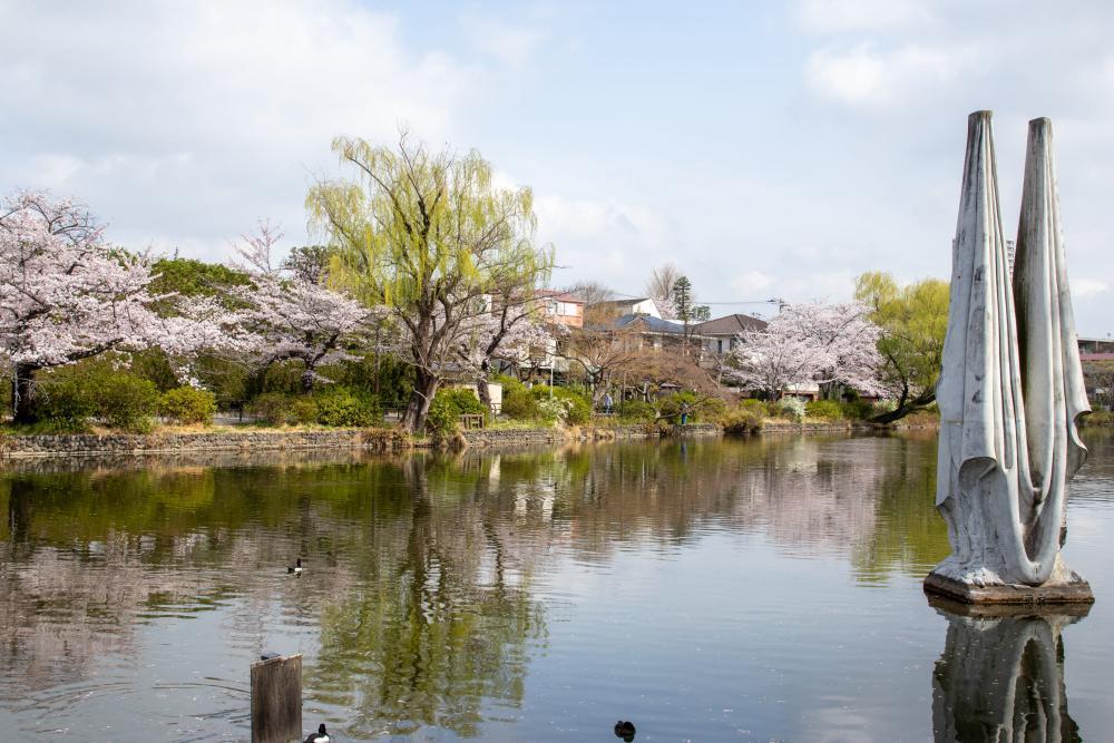 石神井公園