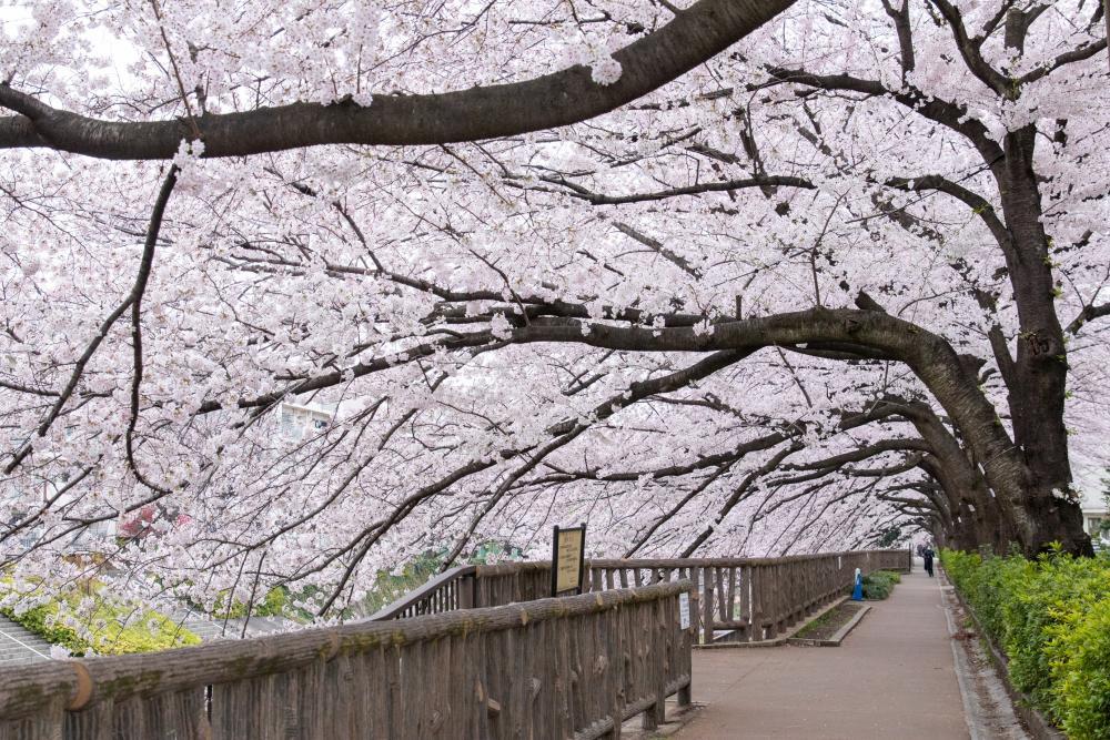 南田中の山下橋