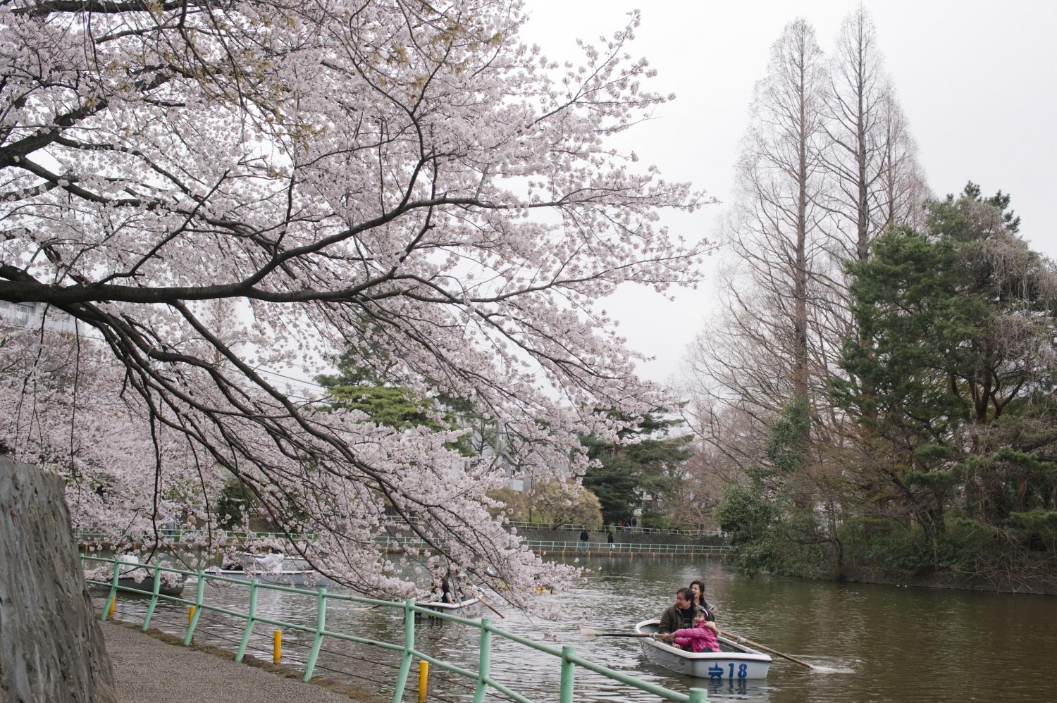 武蔵関公園