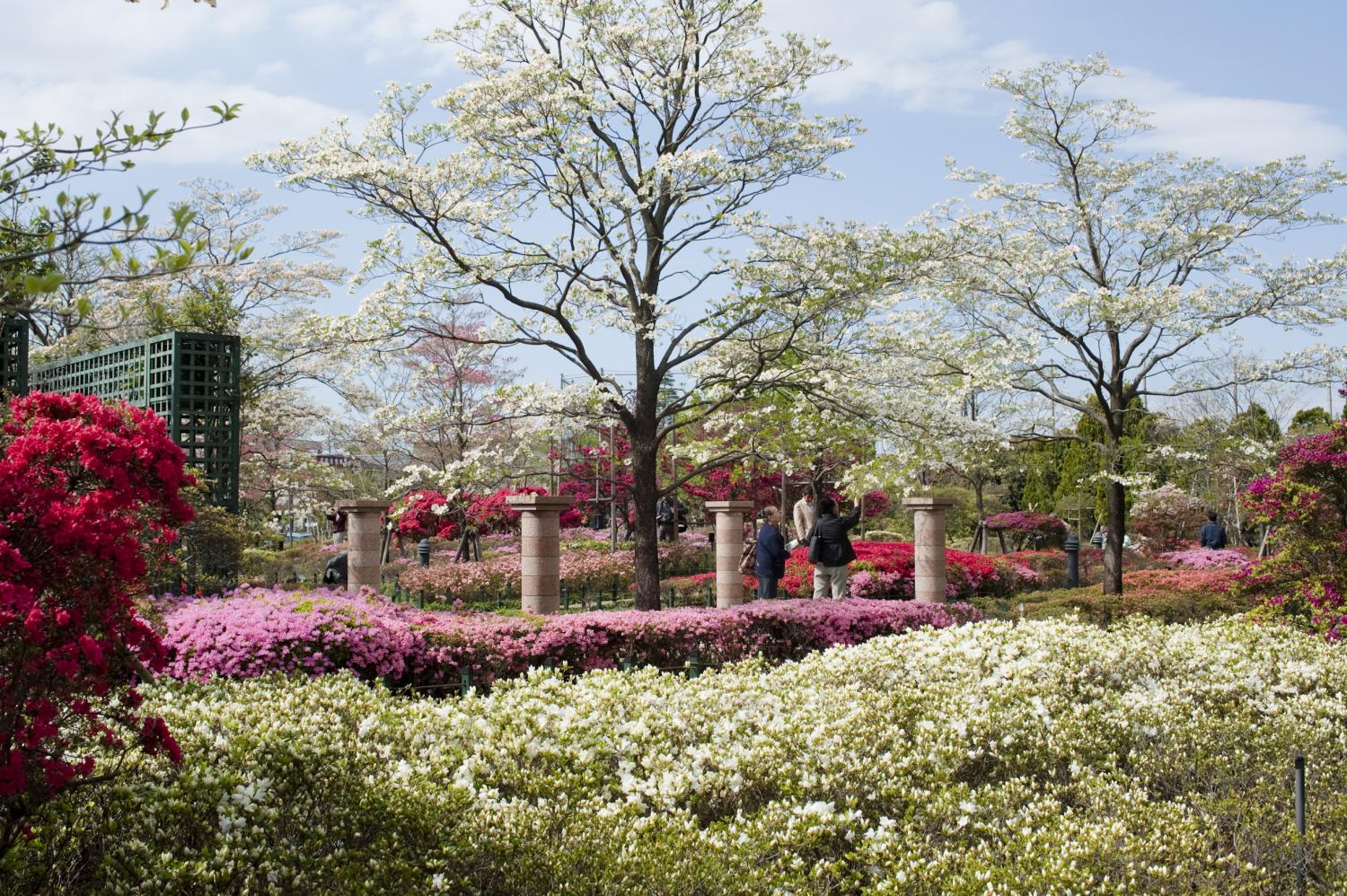 平成つつじ公園