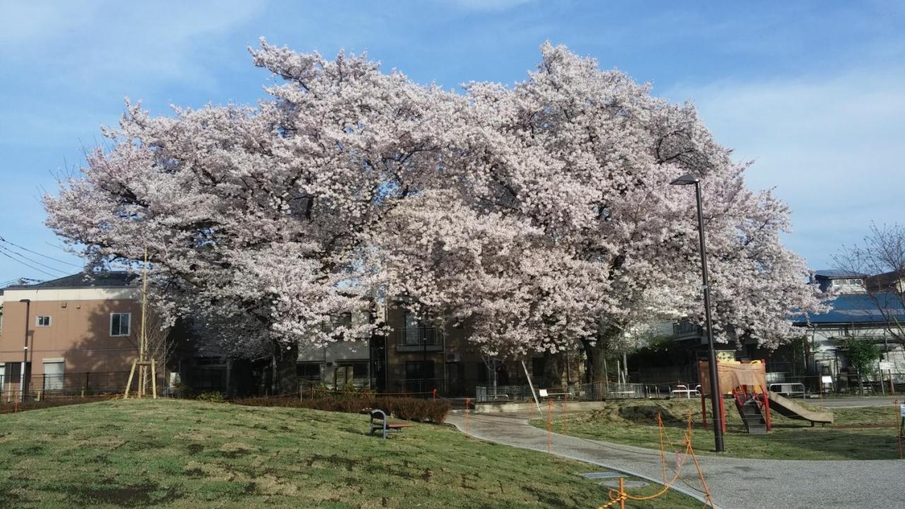 電車の見える公園