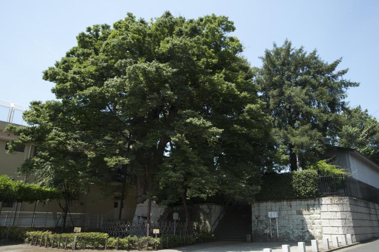 練馬白山神社