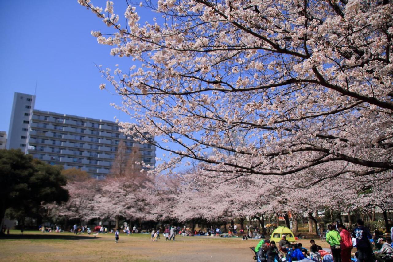 夏の雲公園